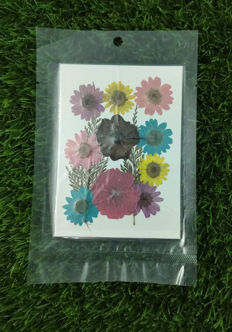 Dry flower multi color