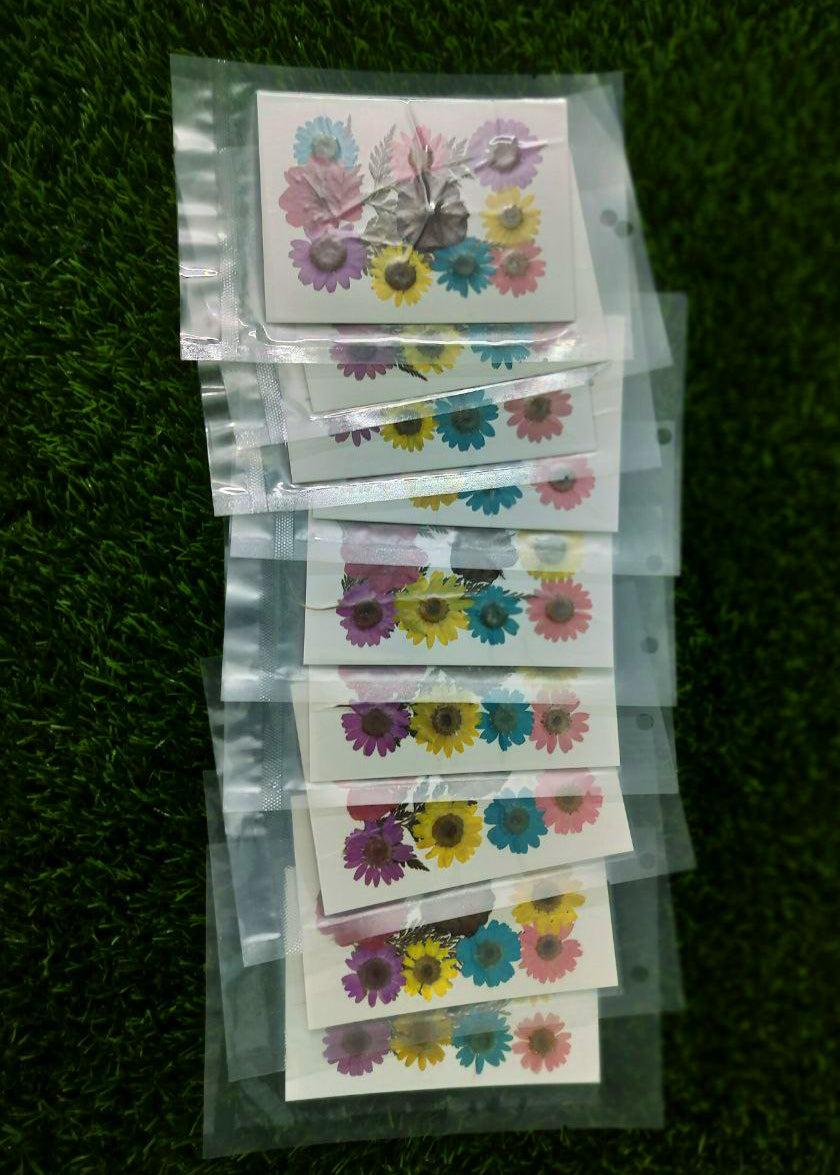 Dry flower multi color