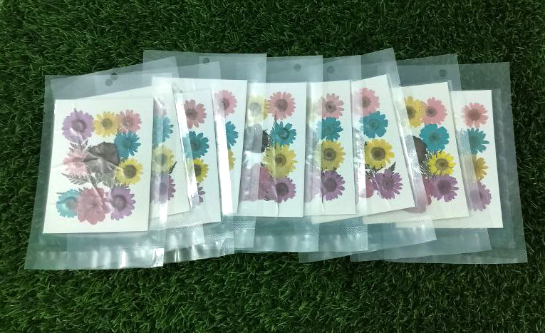 Dry flower multi color