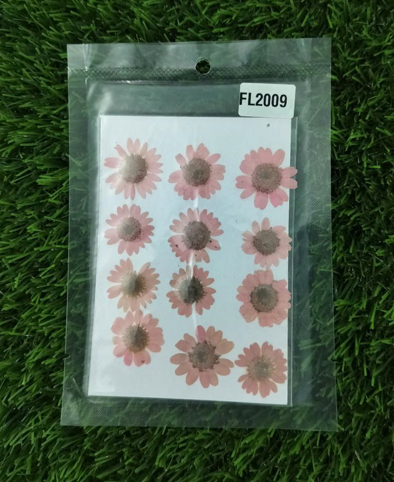 Dry flower Pink color