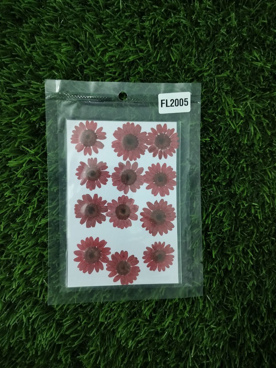 Dry flower Red color