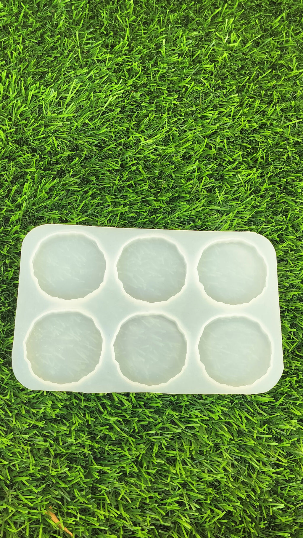 Agate mould - 6 in 1 circle