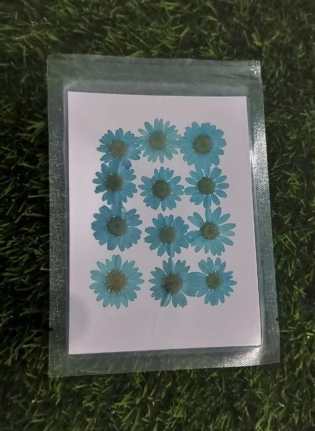 Dry flower Blue color