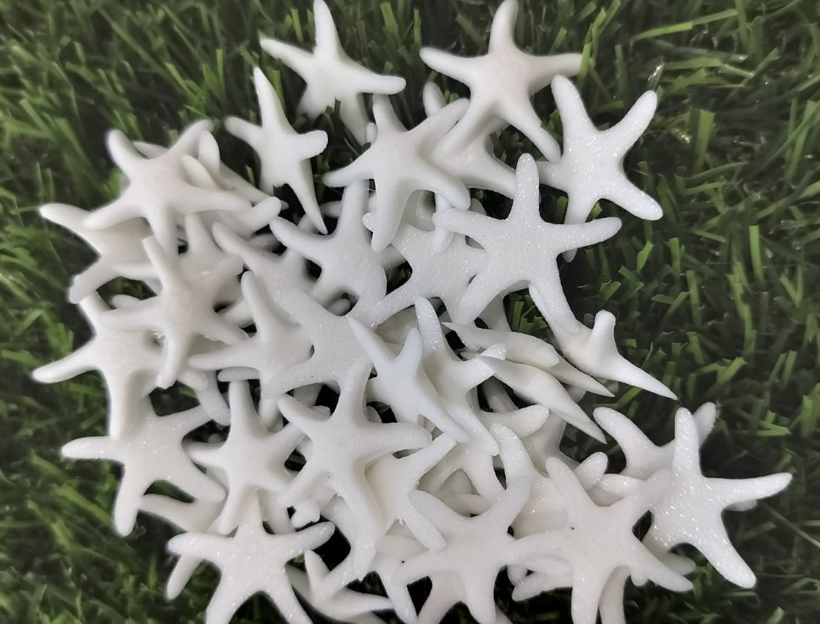 Miniature - star fish