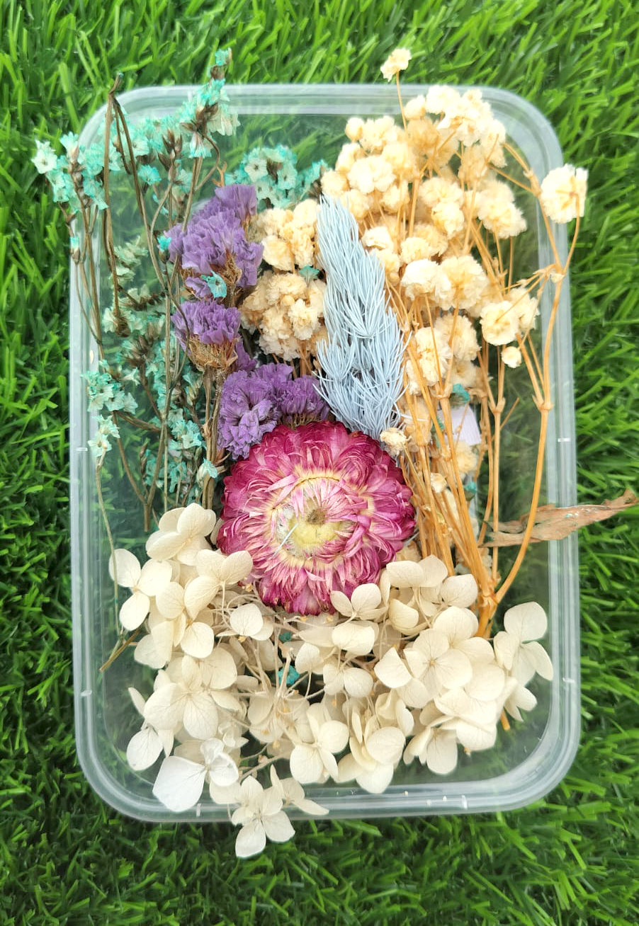 Dry flower - Packet (D)