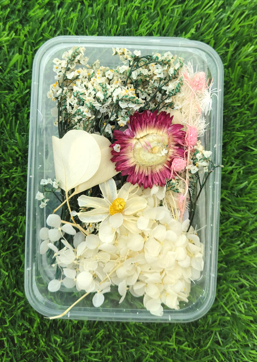 Dry flower - Packet (C)
