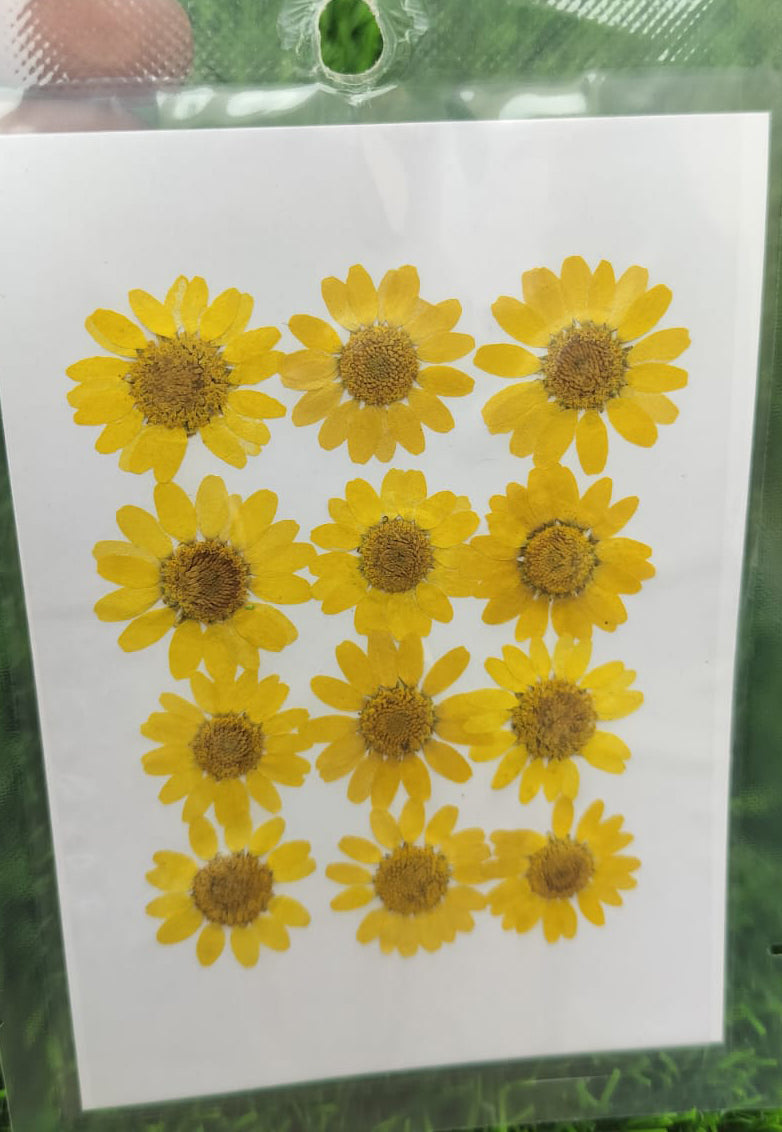 Dry flower Yellow color